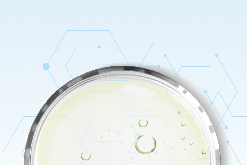 Avocado Oil for Skin Ingredient Benefits and Uses Cetaphil