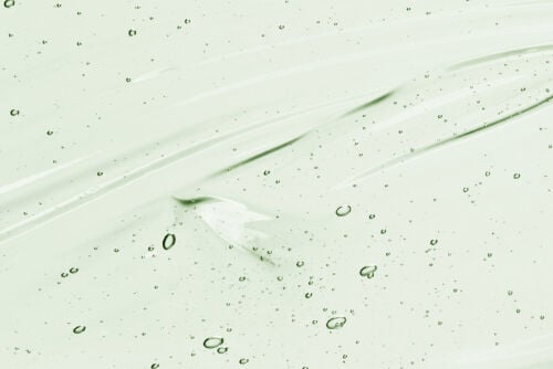 Aloe vera