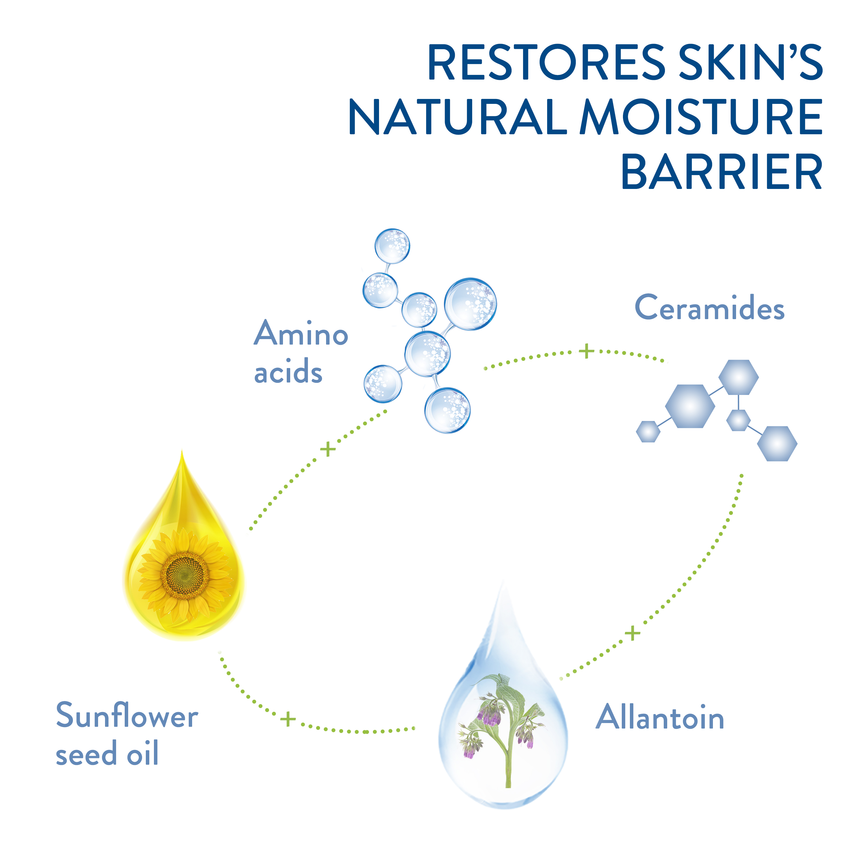 Intensive Healing Lotion with Ceramides Ingredients